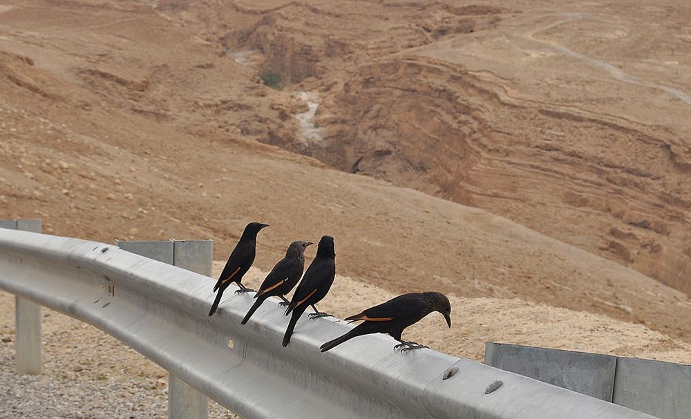 Photograph by Яков