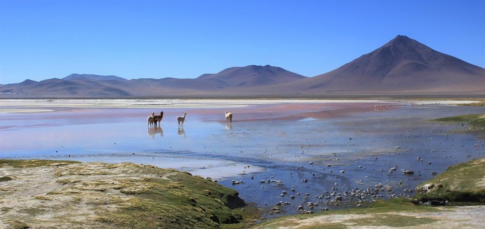 Photograph by Ольга Максимушкина