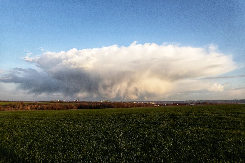 Photo #6016949