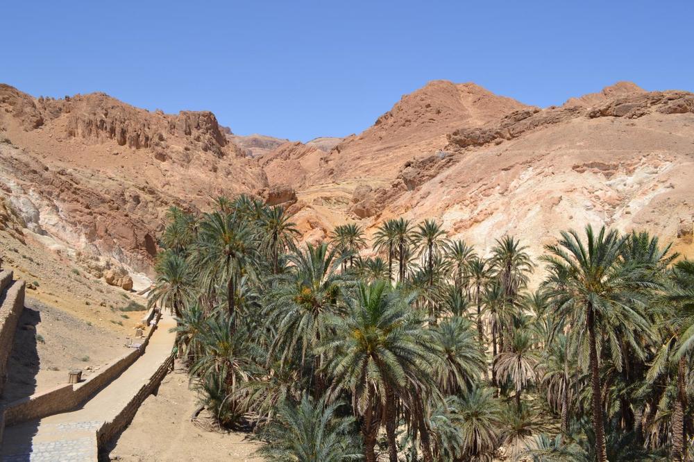 Photograph by Анжелика Трошина