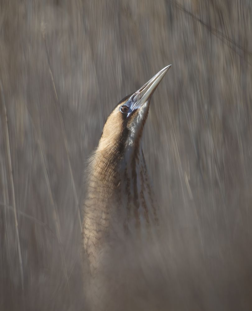 Photograph by Mattias Sarling