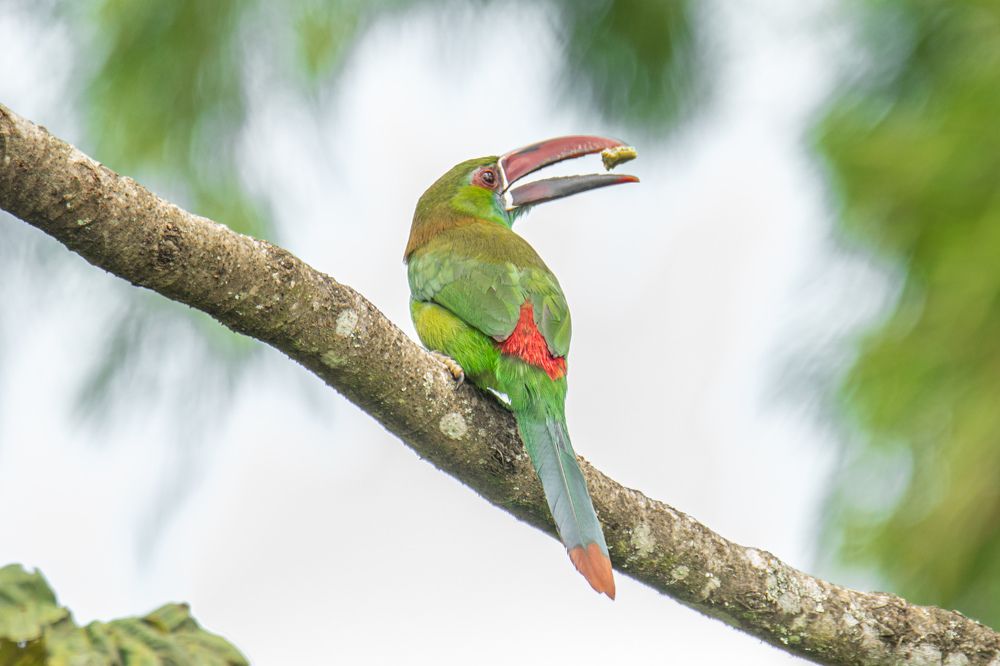 Photograph by Miguel Antonio Sevilla Flor