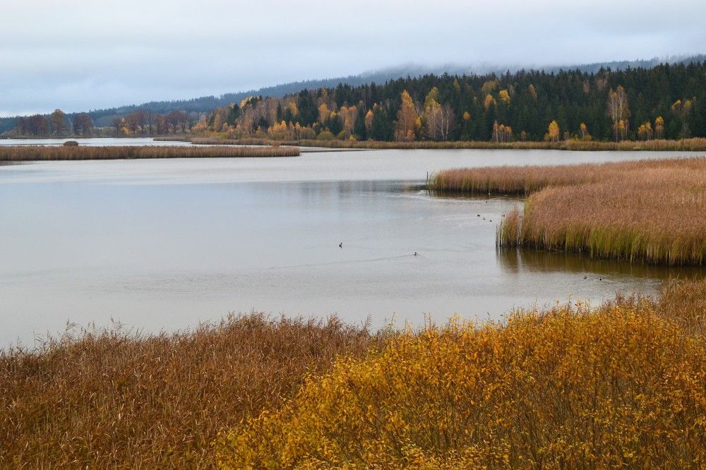 Photograph by Zdeňka Hudcová