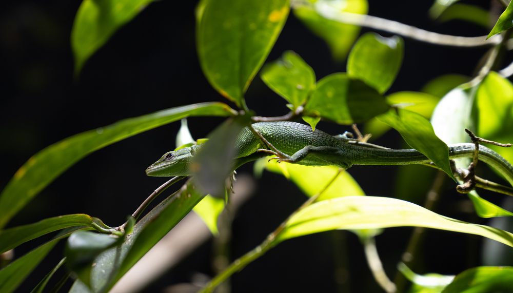 Photograph by Michael Pöschl