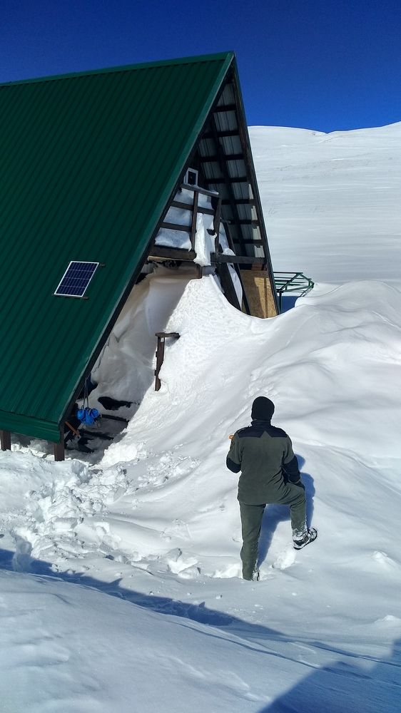 Photo #6017298