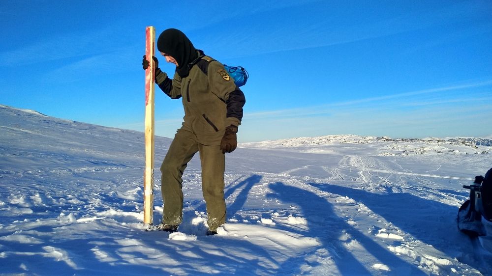Photo #6017299