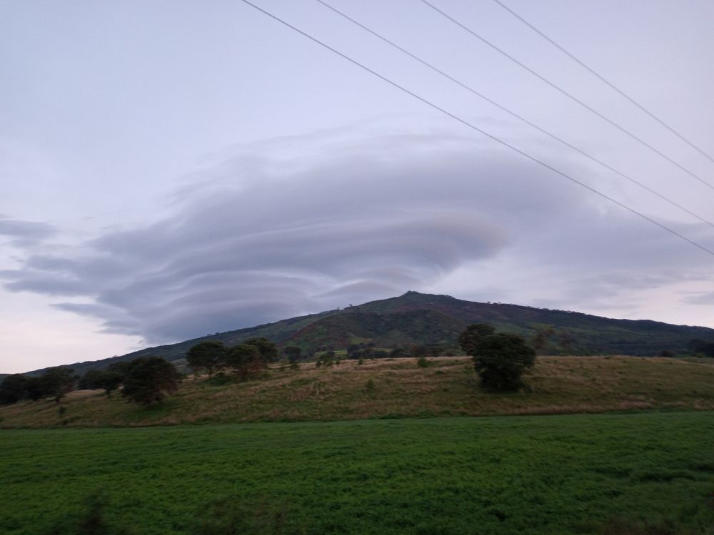 Photo #6017458