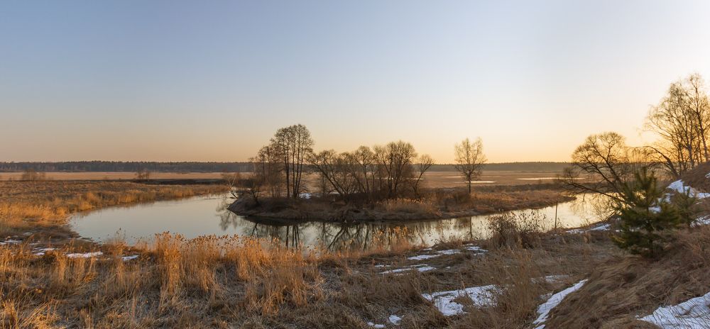 Фотография автора Ольга Бонина