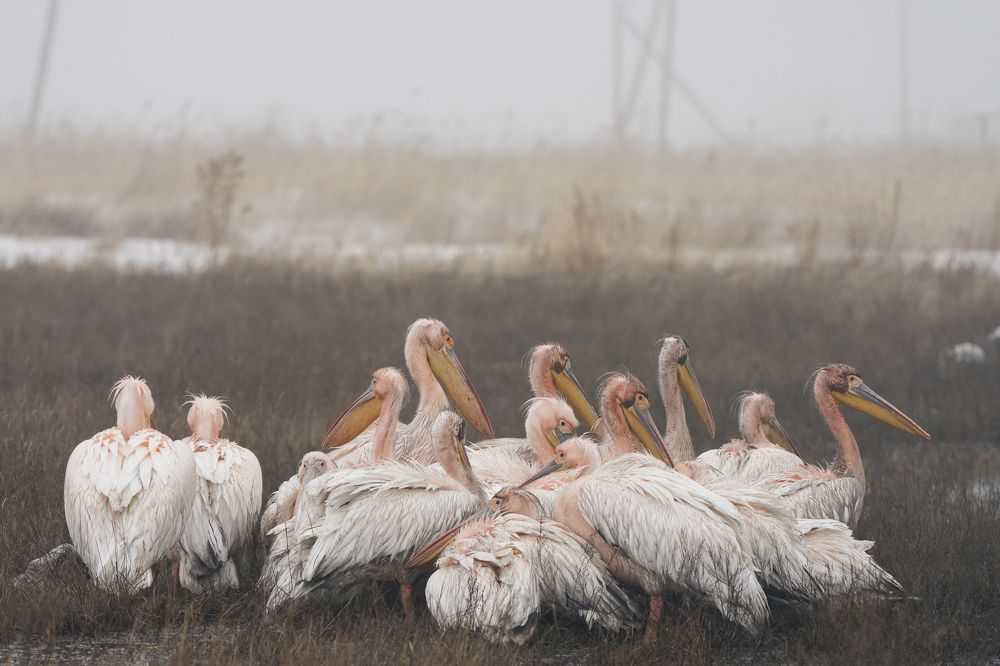 Photograph by Игорь Травкин