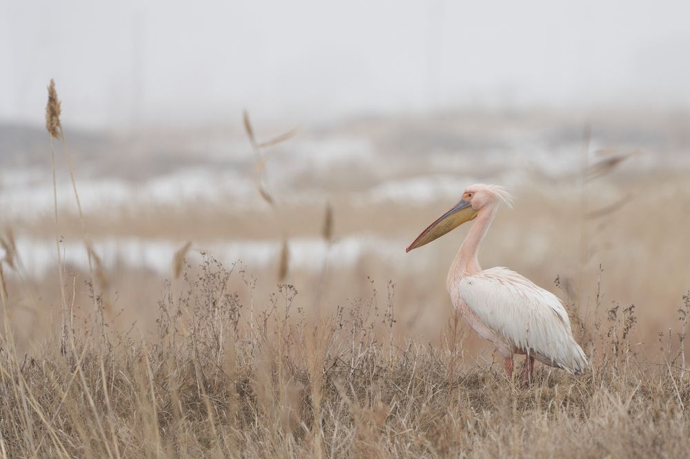 Photograph by Игорь Травкин