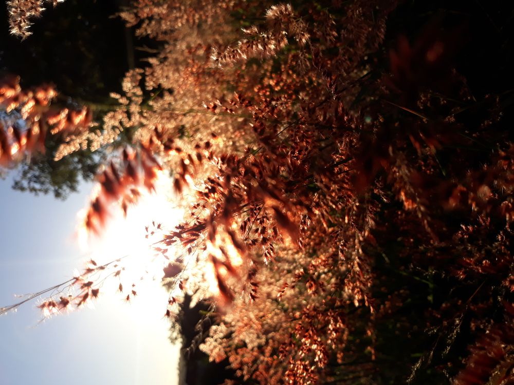 Photo #6017625