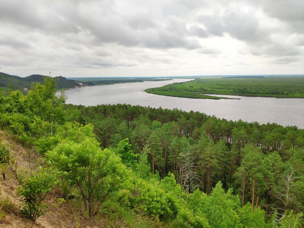 Photograph by Алексей Зайцев