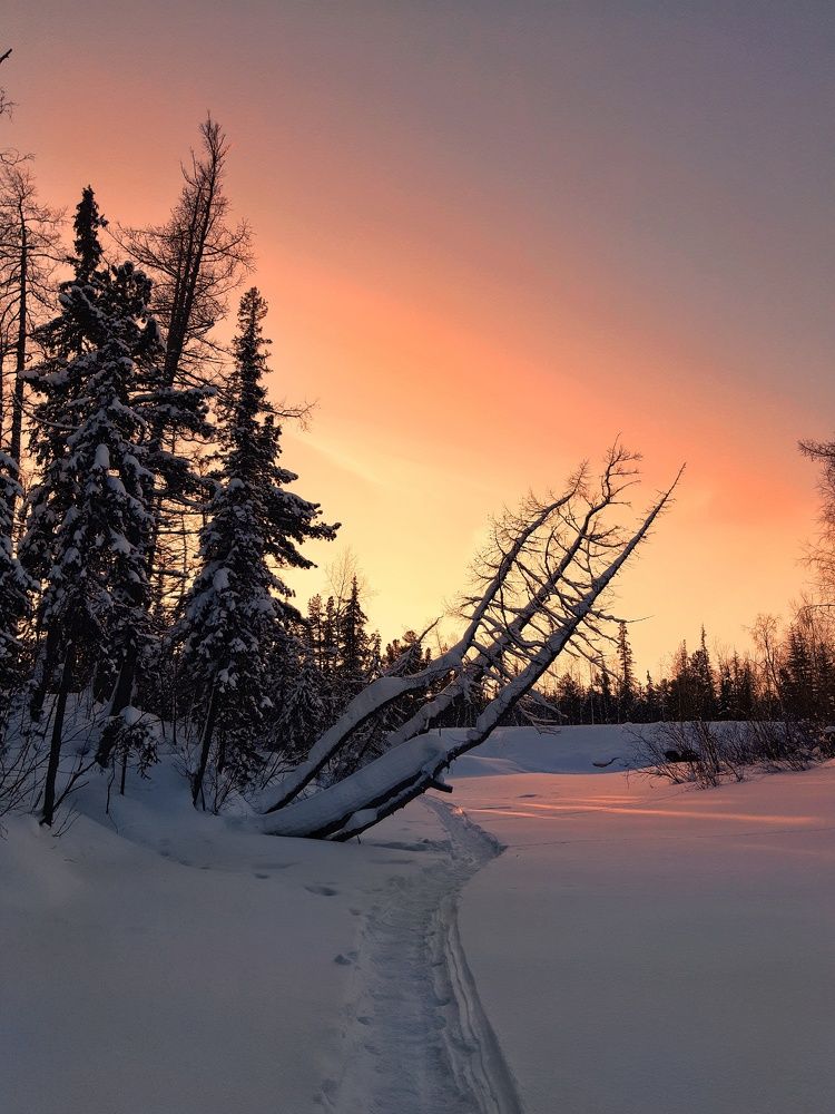 Зимние мечты