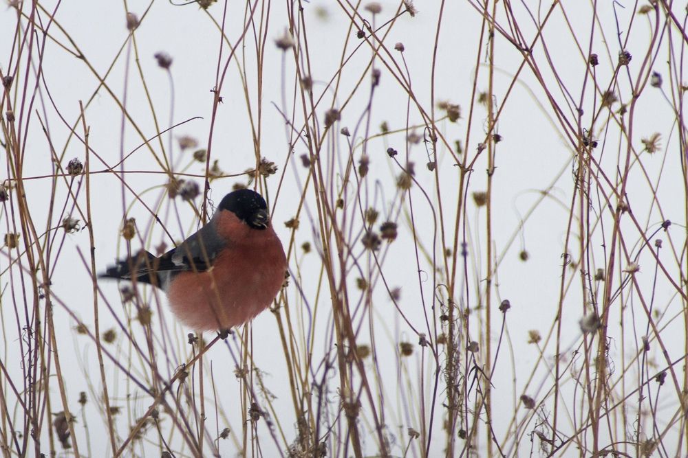 Photograph by Alexey Kaizer