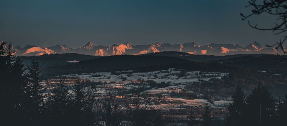 Photograph by Dominik Lipka