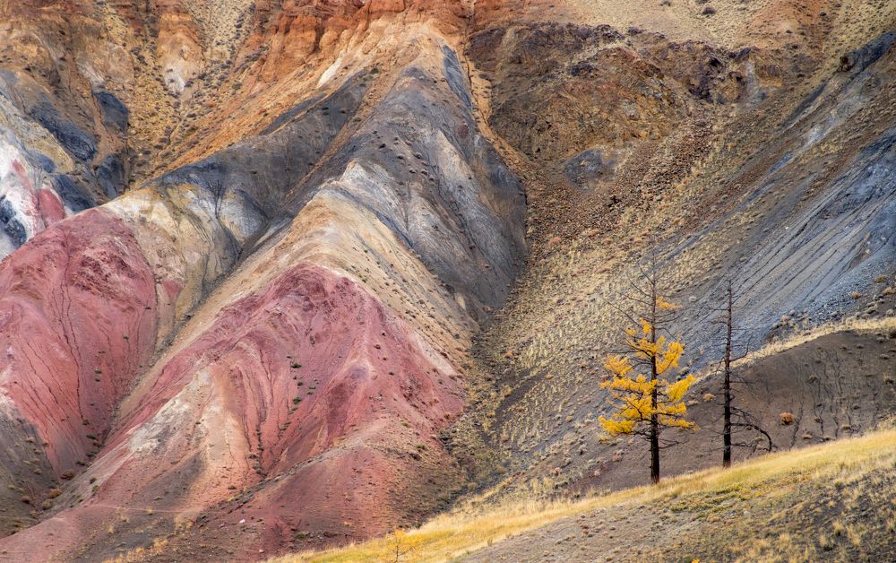 Photograph by Андрей Хаймин