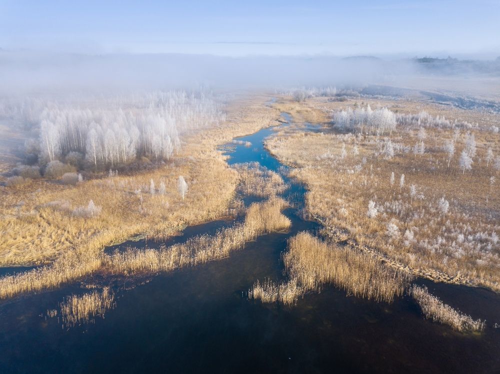 Photograph by Roman Dmitriev