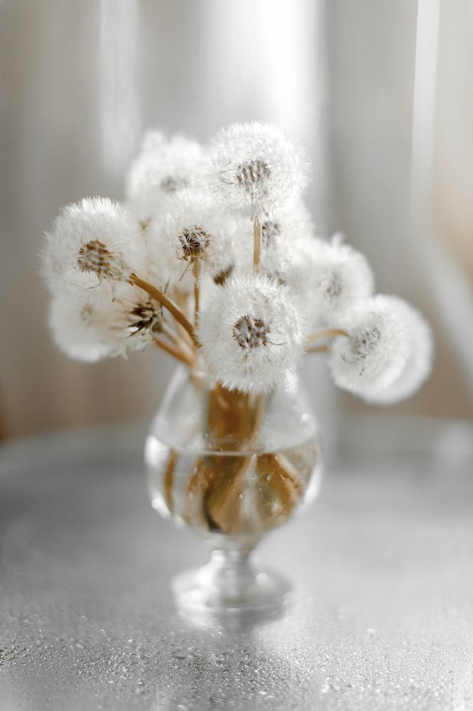 Photograph by Мария Бочкова