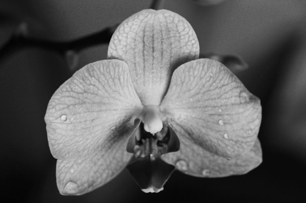 Фотография автора Никита Гутор