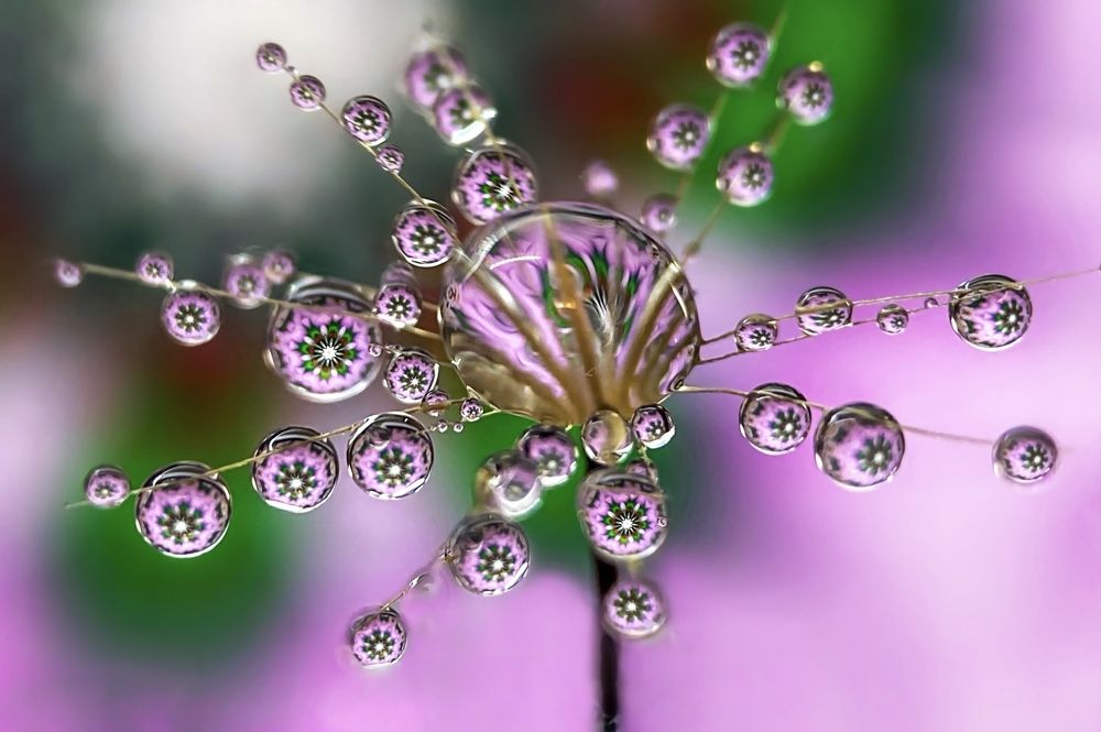 Photograph by Chilom Anca