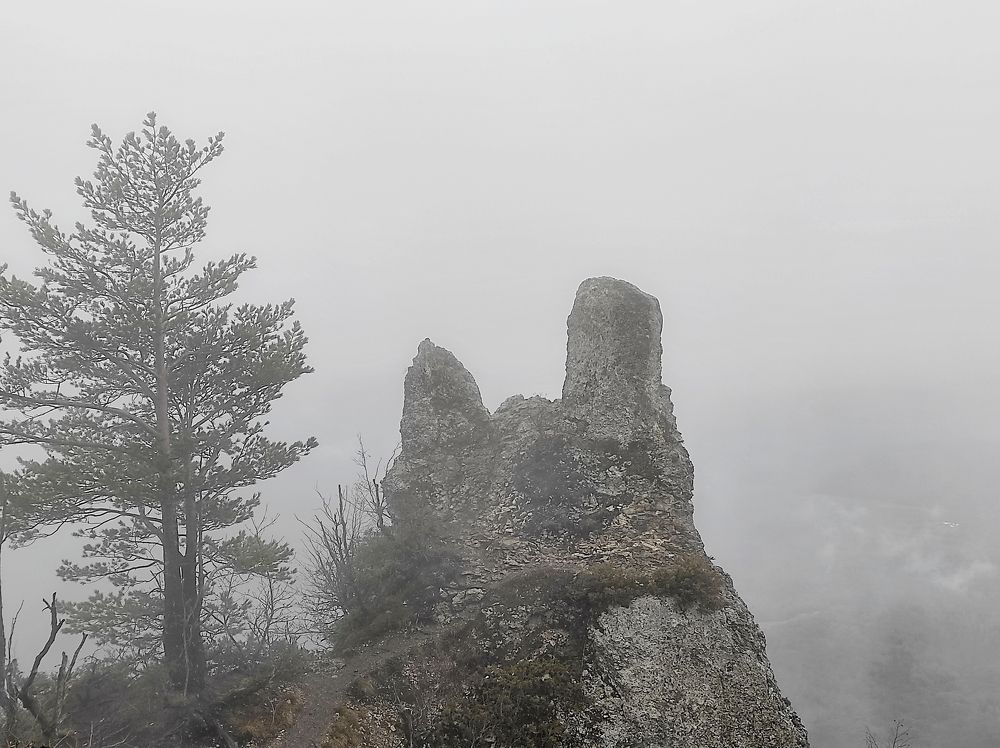 Туманная скала