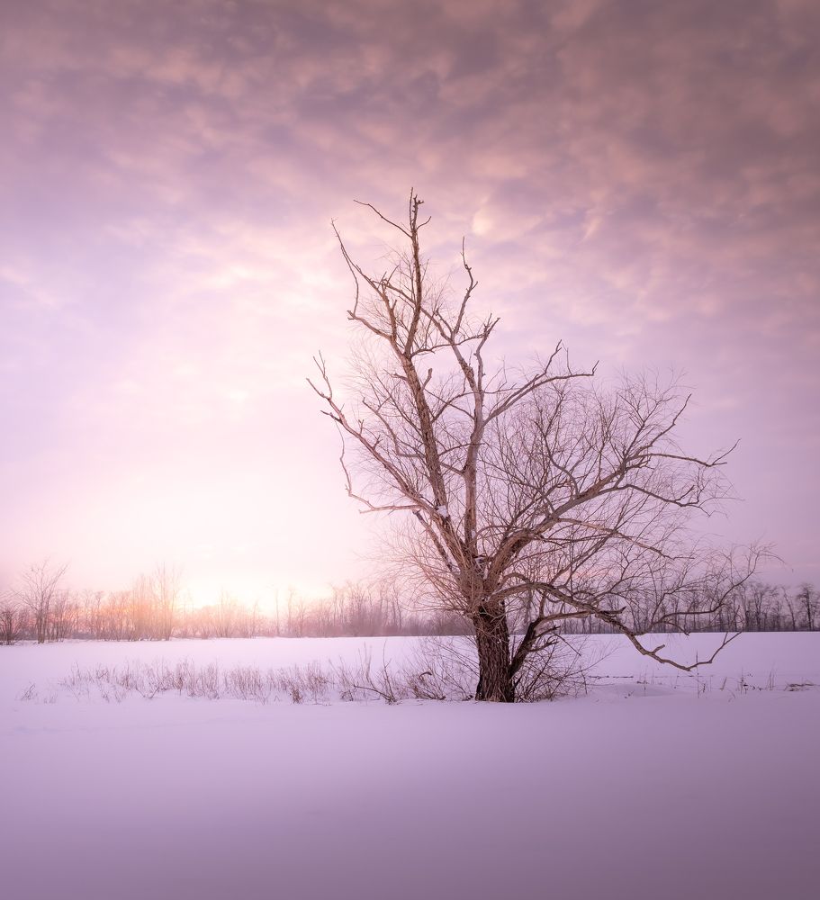 Photograph by Владимир Кондратьев