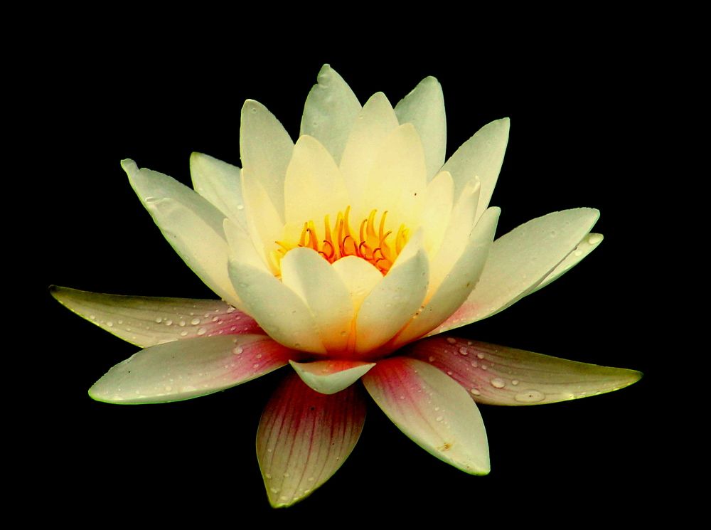 Photograph by Александр Быкадоров