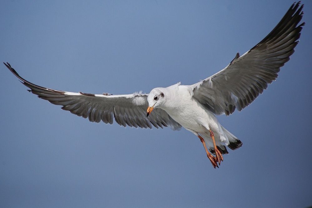 Photograph by Mirza Md moon ridoy