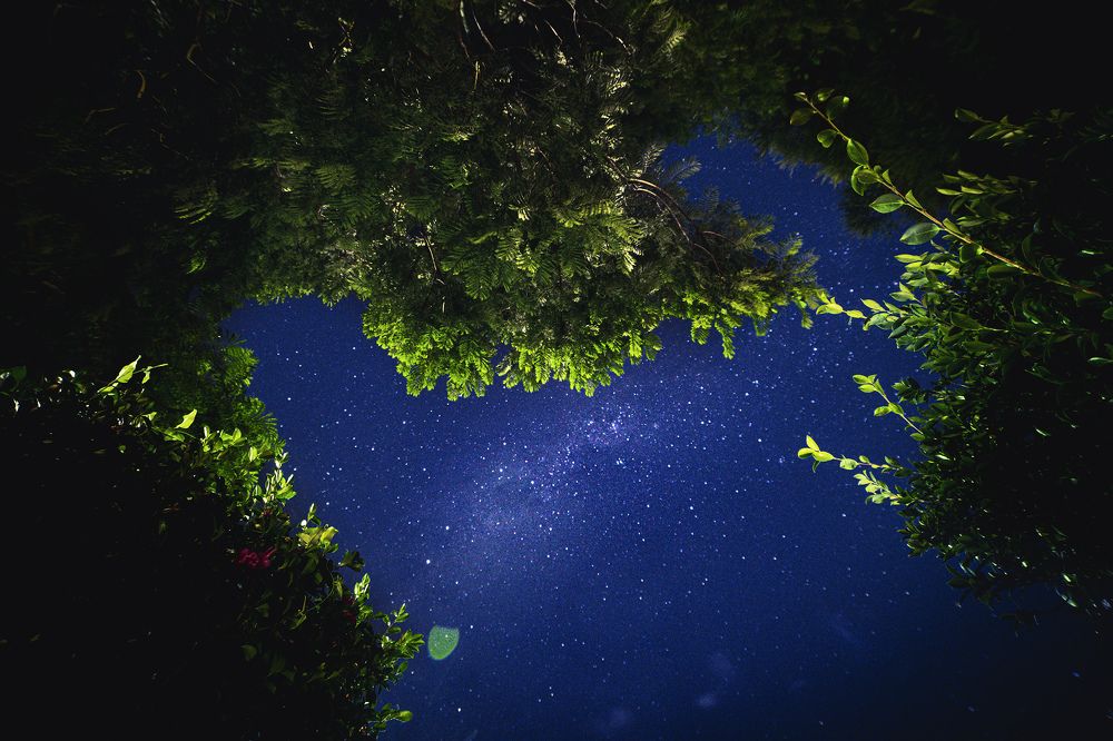 Photograph by Bijaya Lamichhane Jaisi