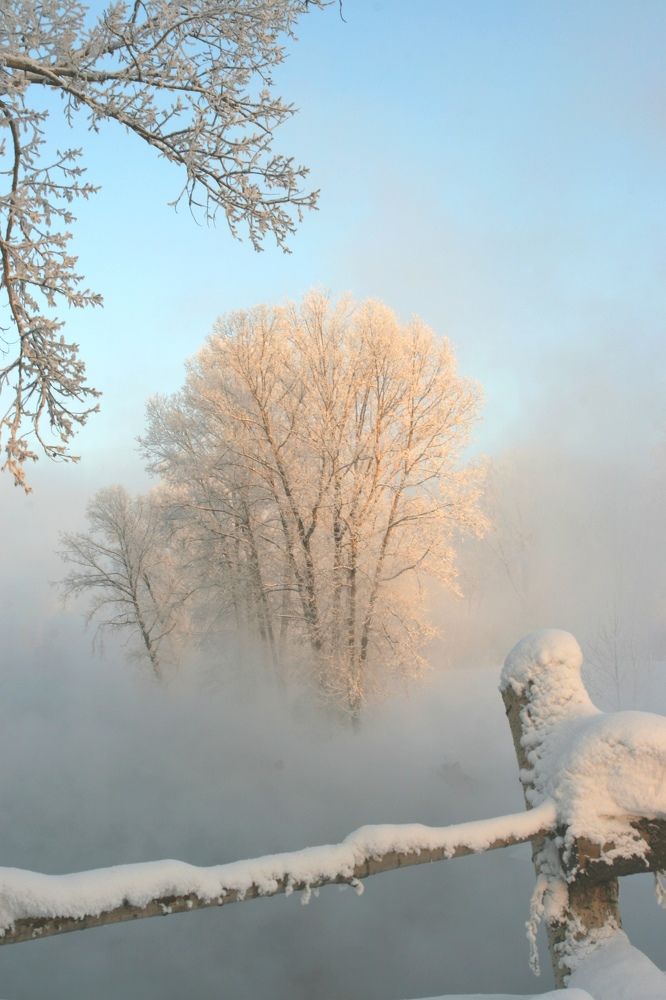 Photograph by Владимир Ильин