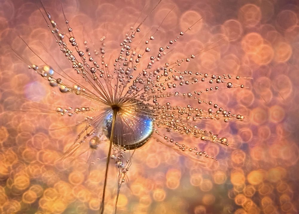 Photograph by Chilom Anca