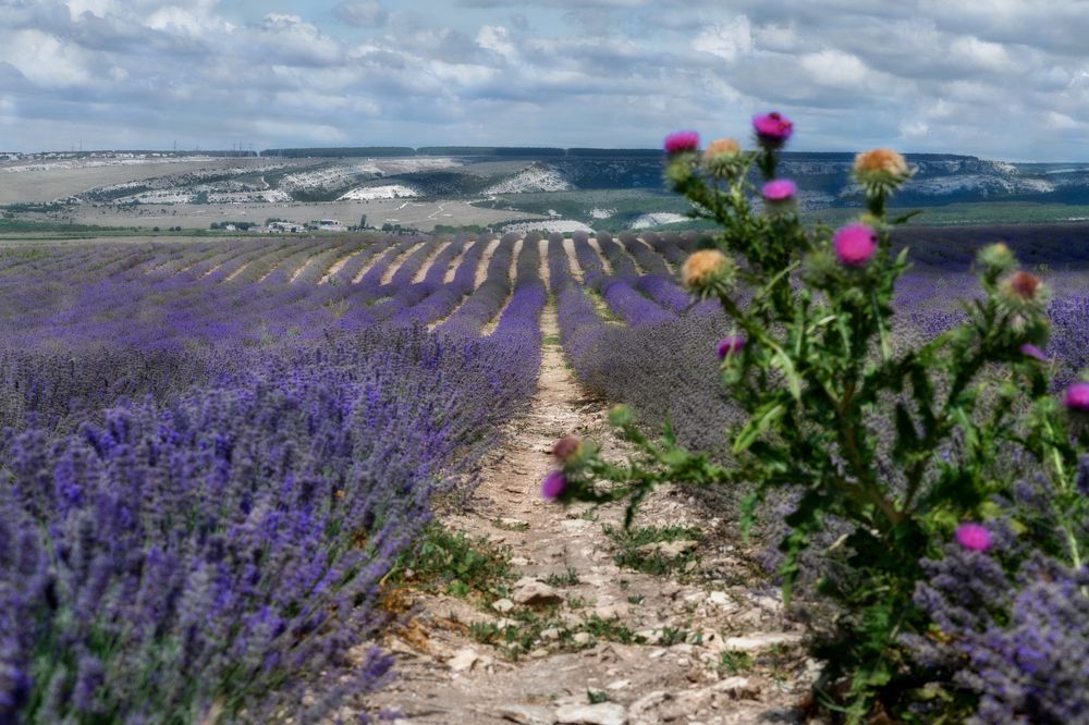 Photograph by Ирина Ульянова