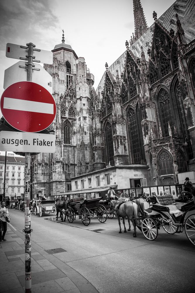 Photograph by Балакин Евгений