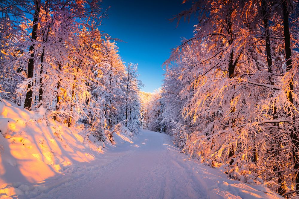 Photograph by Fabian Stepien