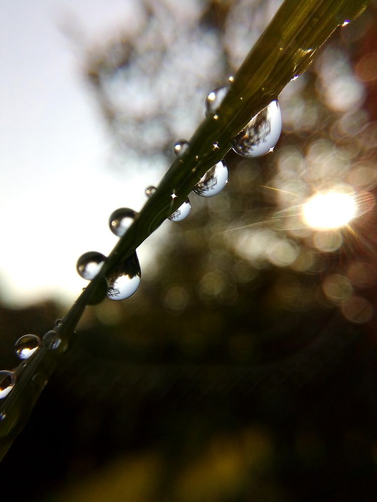 Photograph by Анастасия