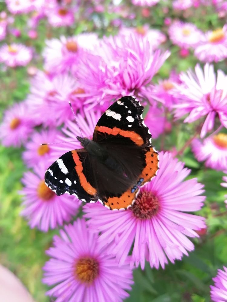 Photograph by Анастасия