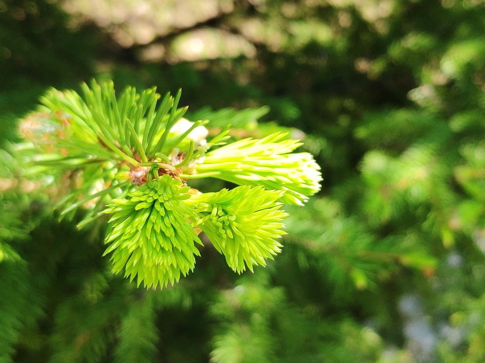 Photograph by Алексей Зайцев