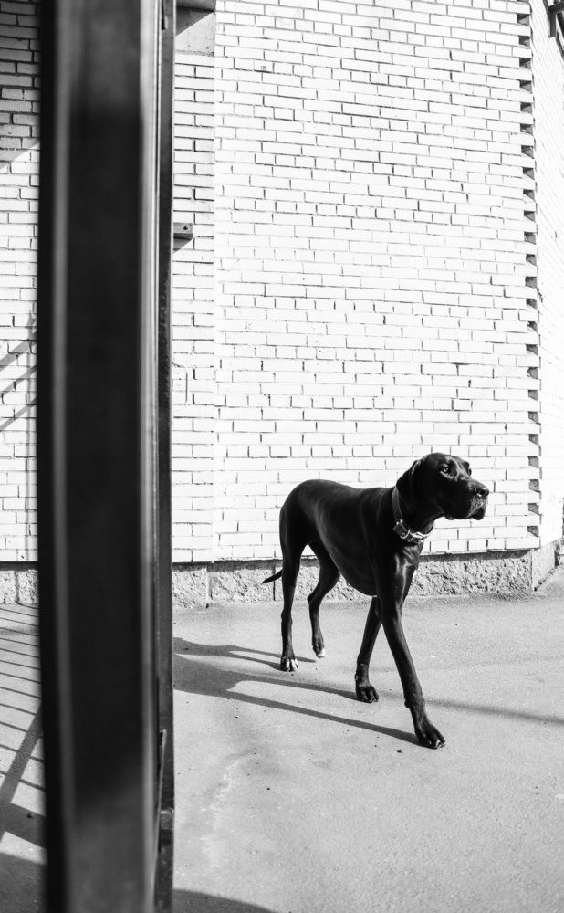 Photograph by Анастасия Осипова