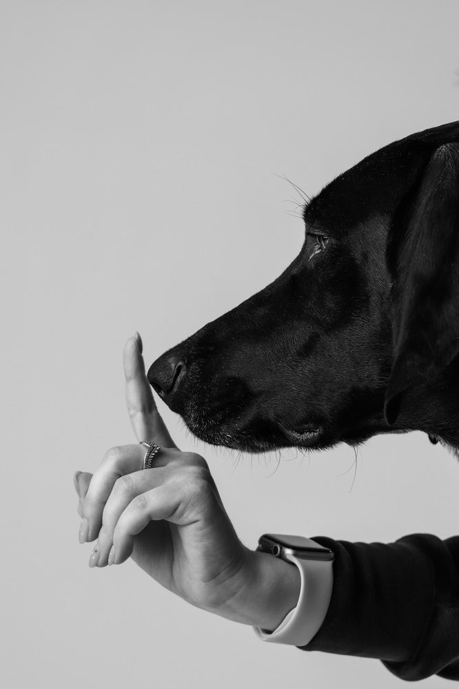 Photograph by Анастасия Осипова