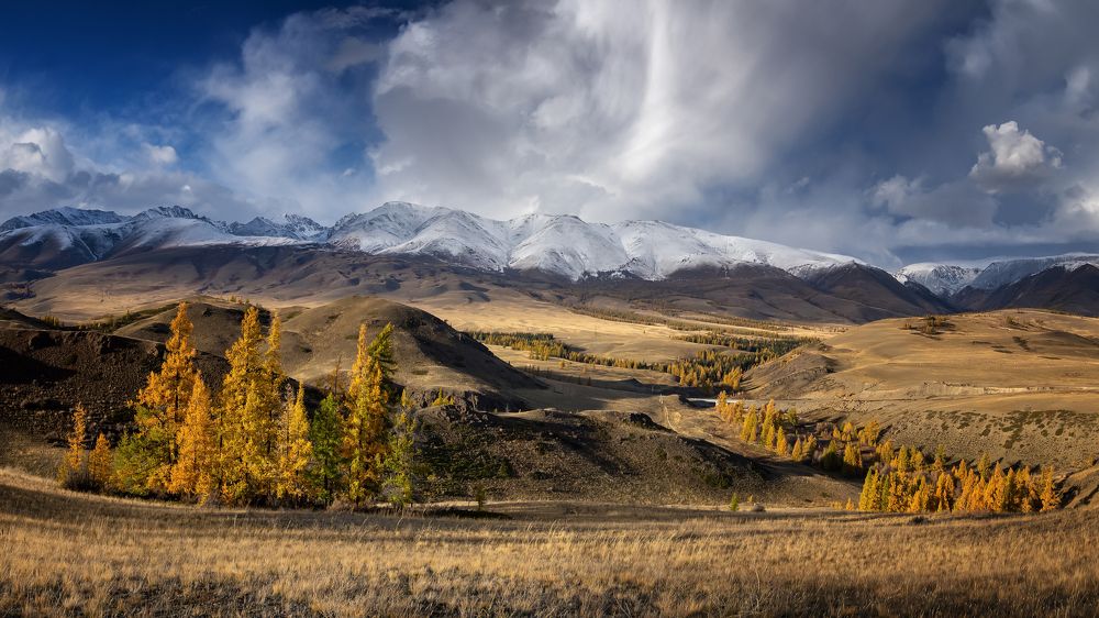 Фотография автора Александр Рудный