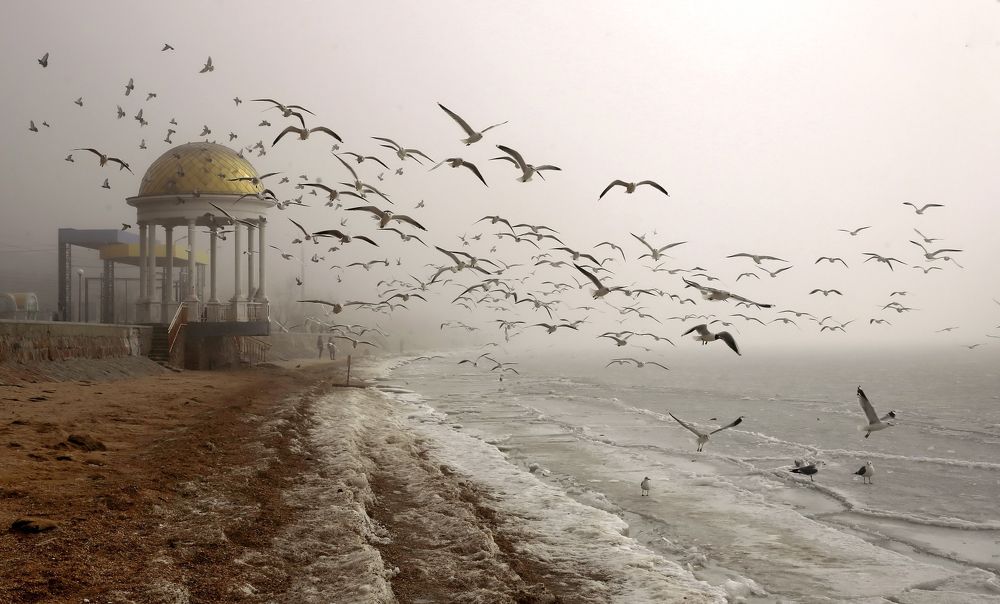 Утро  туманное