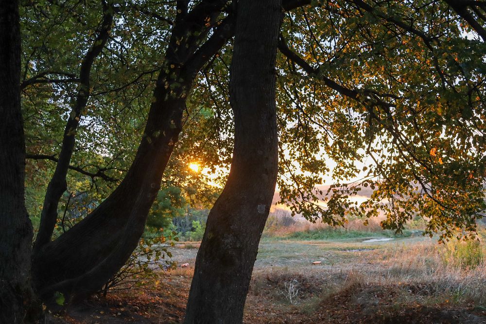 Photograph by Елена Квасова