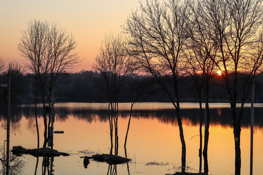 Photograph by Елена Квасова