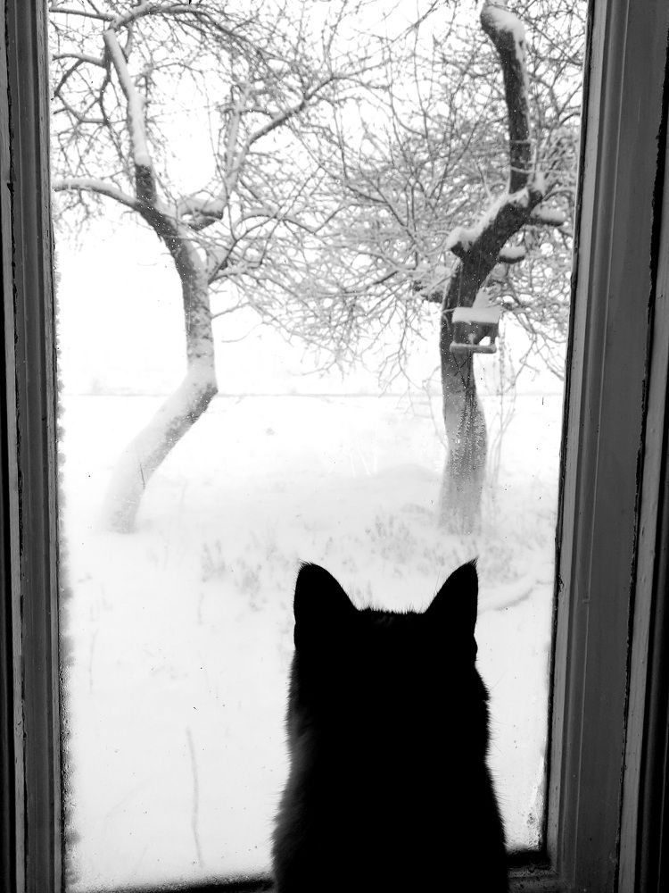 Photo #6019019