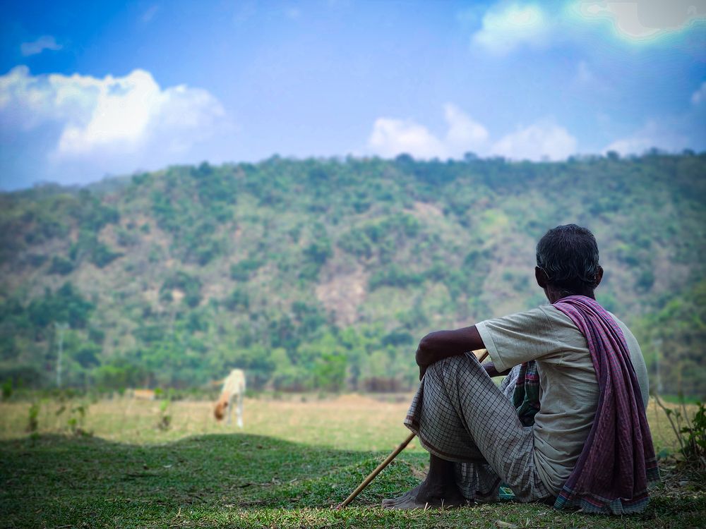 Old Men Rest in Shadow & See The Bauty of Nature