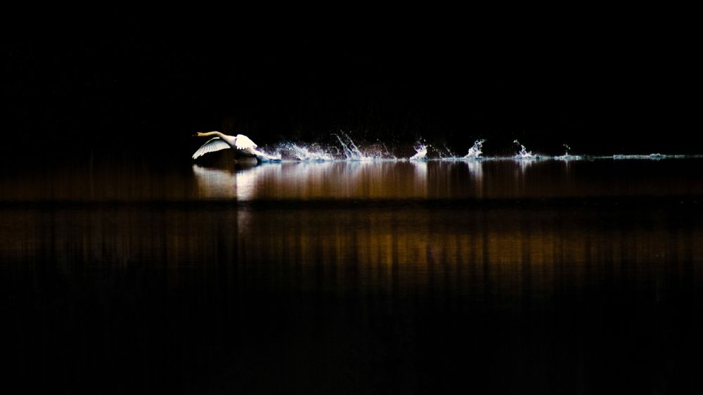 Photograph by Adam Lorenc