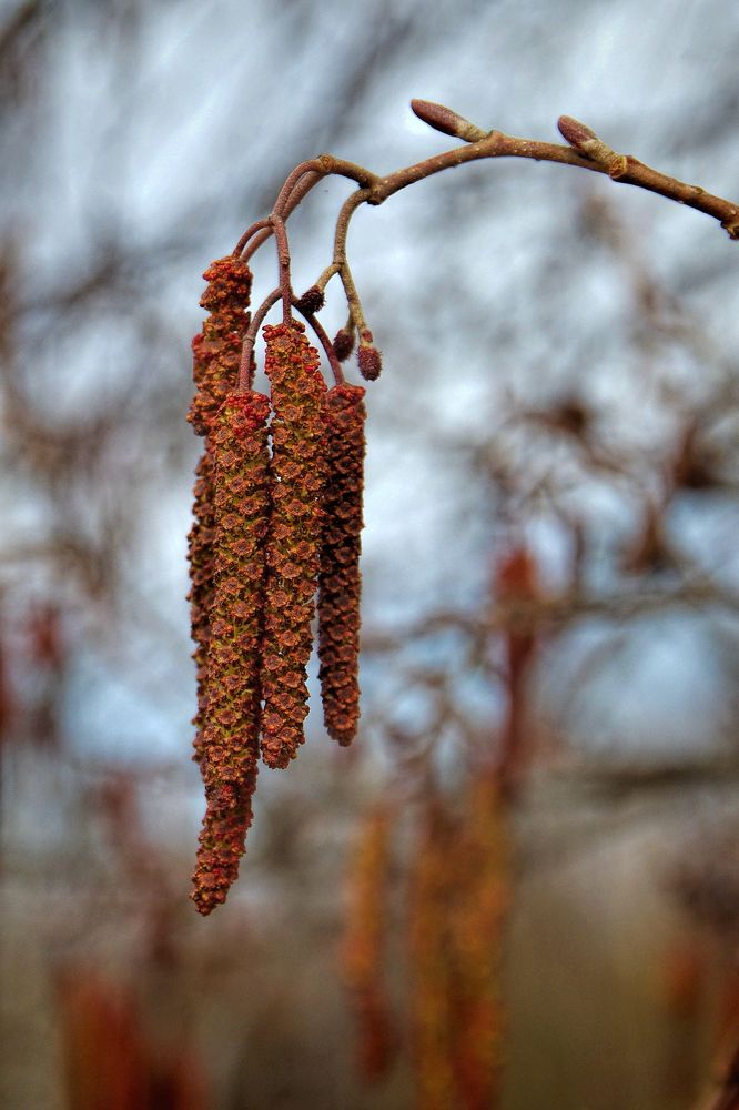 Photograph by Наталья Кащеева