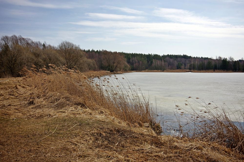 Photograph by Наталья Кащеева