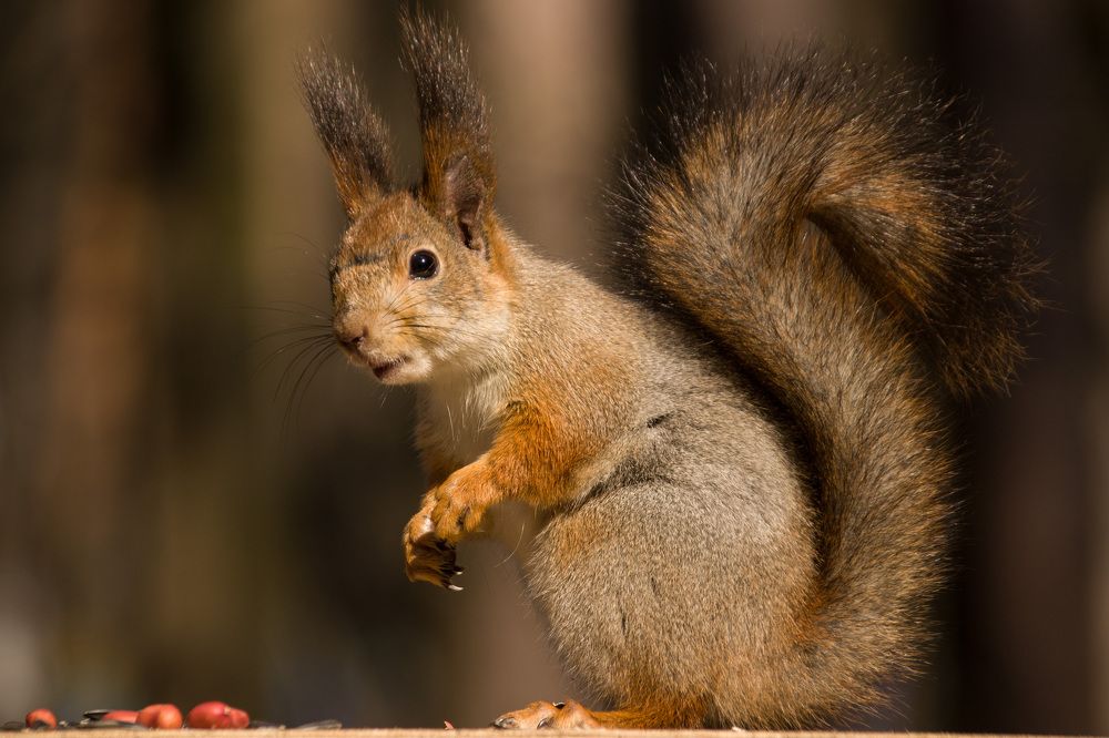 Photograph by Наталья Гайдукевич