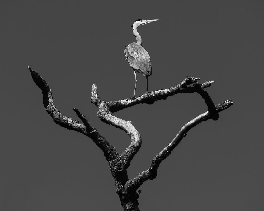 Photograph by Валерий Притченко